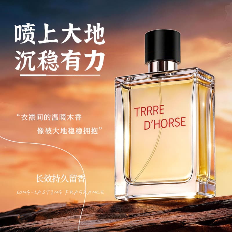 Xiaocheng Yixiang TERRE Terre Men's Perfume 100ml Long-Lasting Woody Scent Export Eau de Cologne
