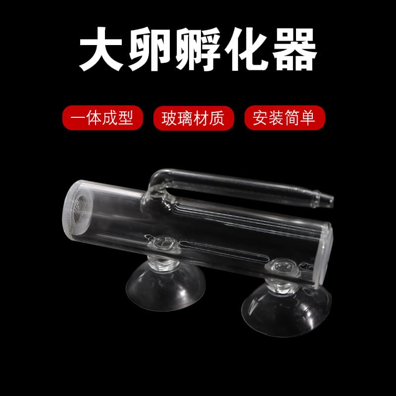 Large Egg Incubator for Fertilized Shrimp and Aquatic Plants, CO2 Water Flow Fertilized Eggs Glass Egg-Laying Aquarium Breeding Tank