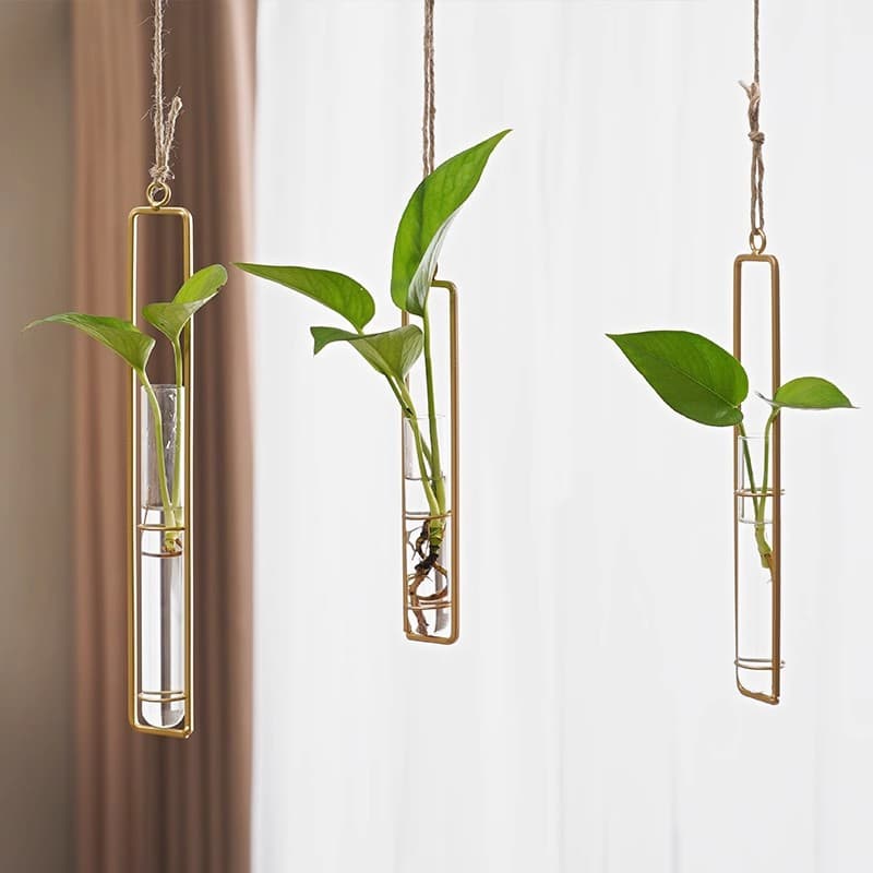 Nordic Decorative Hydroponic Glass Container Vase Living Room Creative Hanging Door Decoration Wall Green Plant Water Culture Transparent Vase