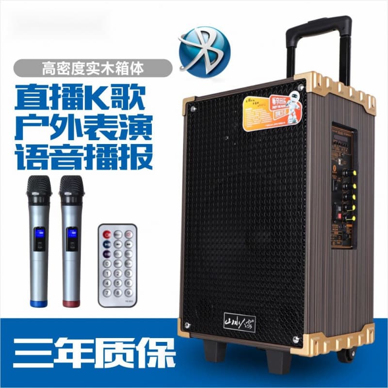 Sansui Home Square Dance Speaker, Outdoor Portable Bluetooth Karaoke Mic, Home Speaker Factory