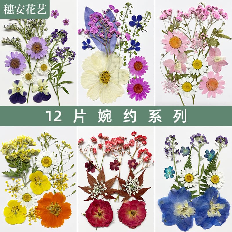 Dried Flower Material Kit, Plant Specimen Pressed Flower Decoration, Scented Candle, Resin Photo Frame, DIY Real Petal Flower Kit