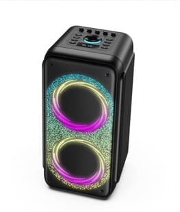 Wireless Karaoke Speaker Outdoor Bluetooth Speaker Dual Microphone High Power Portable Speaker