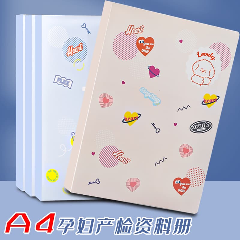 A4 Pregnancy Checkup Organizer Binder for Expectant Mothers, Transparent Multi-Layer File Folder for Reports and Documents