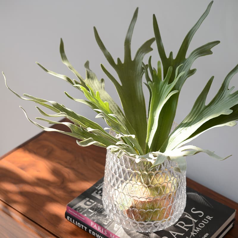 Desert plant simulation, antler leaf landscape decoration, cactus paired with green artificial leaves, faux foliage greenery