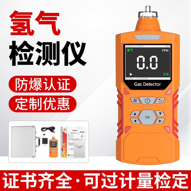 Portable Pump-suction Multifunctional Hydrogen Gas Detector for Tunnel Construction and Biogas Pool Concentration Detection Alarm