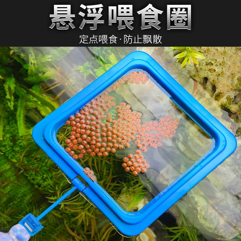 Aquarium Feeder Fish Feeding Tool Guppy Floating Feeding Ring Brine Shrimp Dispenser Fish Food Dispenser