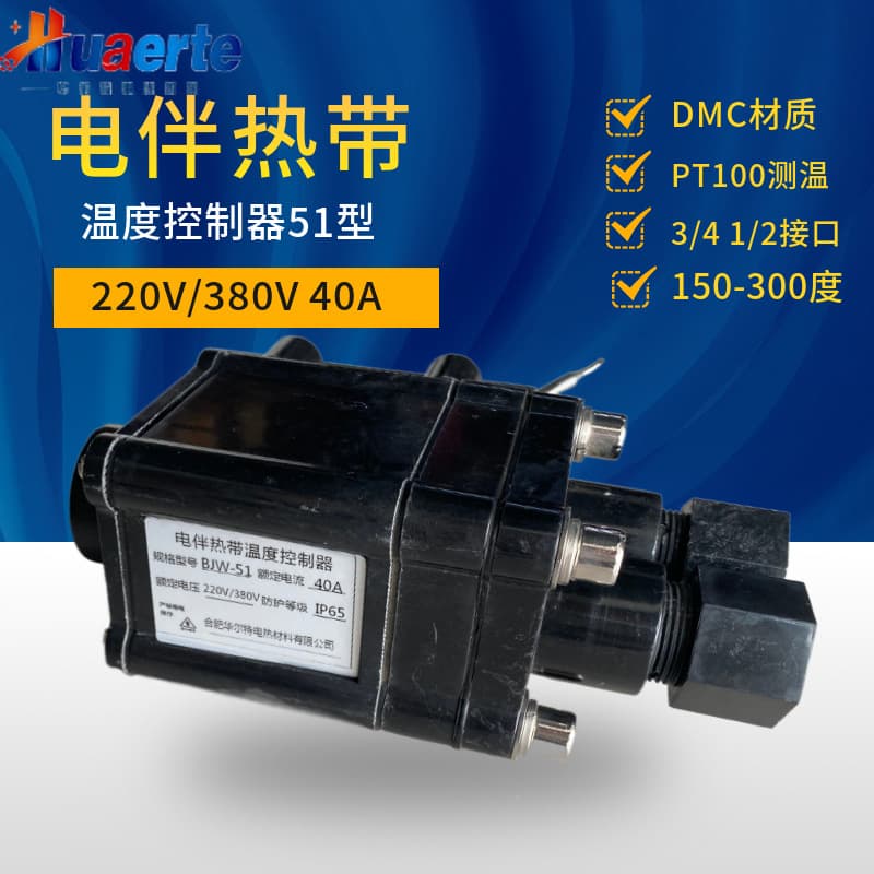 Walter Electric Heat Tracing Explosion-proof Temperature Controller BJW51 40A Heating Cable Temperature Controller Temperature Control Box