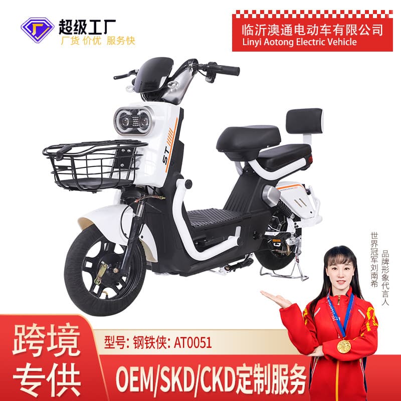 City Electric Mountain Dirt Bike Long Range Two-Wheel Electric Bicycle E-Bike