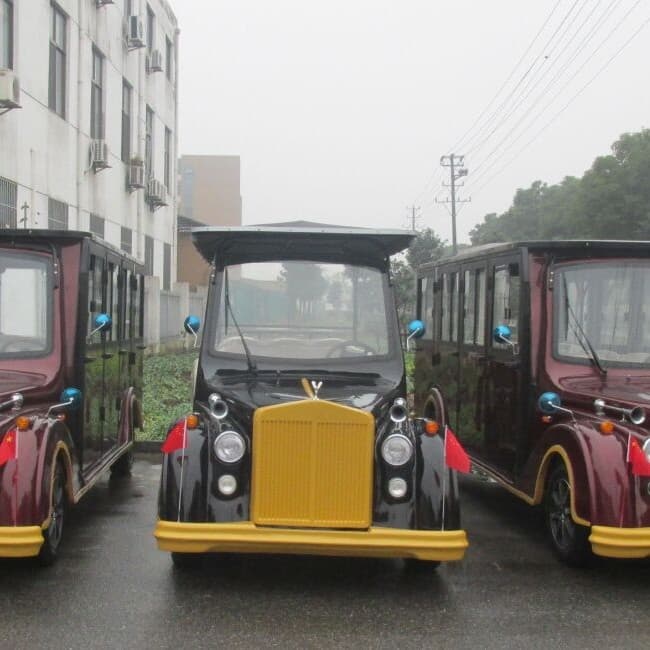 Fully Enclosed Electric Classic Car, Retro Classic Car, Classic Car with Door, Sightseeing, House Viewing, Electric Car