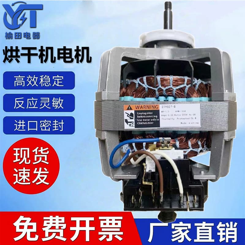 Dryer Motor Series 279827-B/279827-A 220V 50Hz Dryer Motor