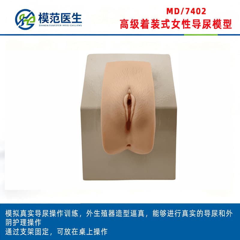 Advanced Dressing-Type Female Urinary Catheterization Model, Urinary Catheterization Care Model, Urinary Catheterization Training Model