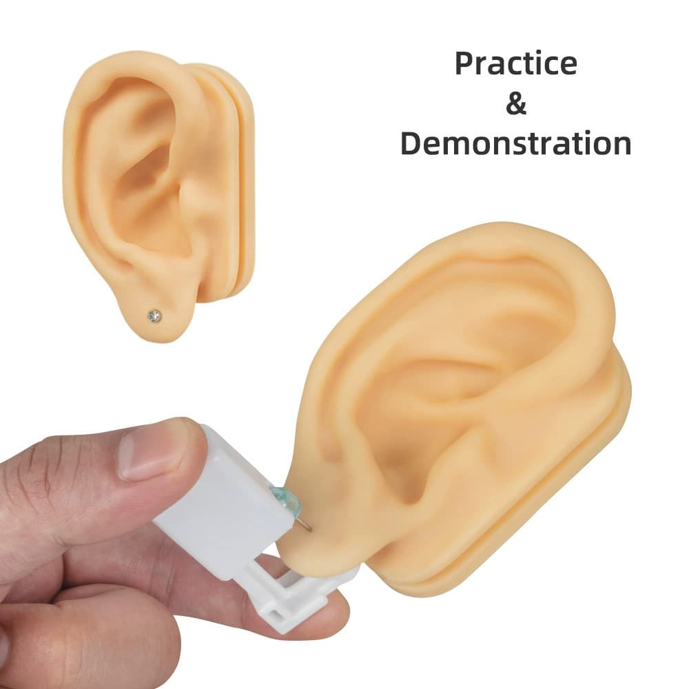 5D Simulated Ear Ear Cleaning Teaching Silicone Earphone Display Model Auricular Point Ear Stud Earrings Hearing Aid Cross-border Prop