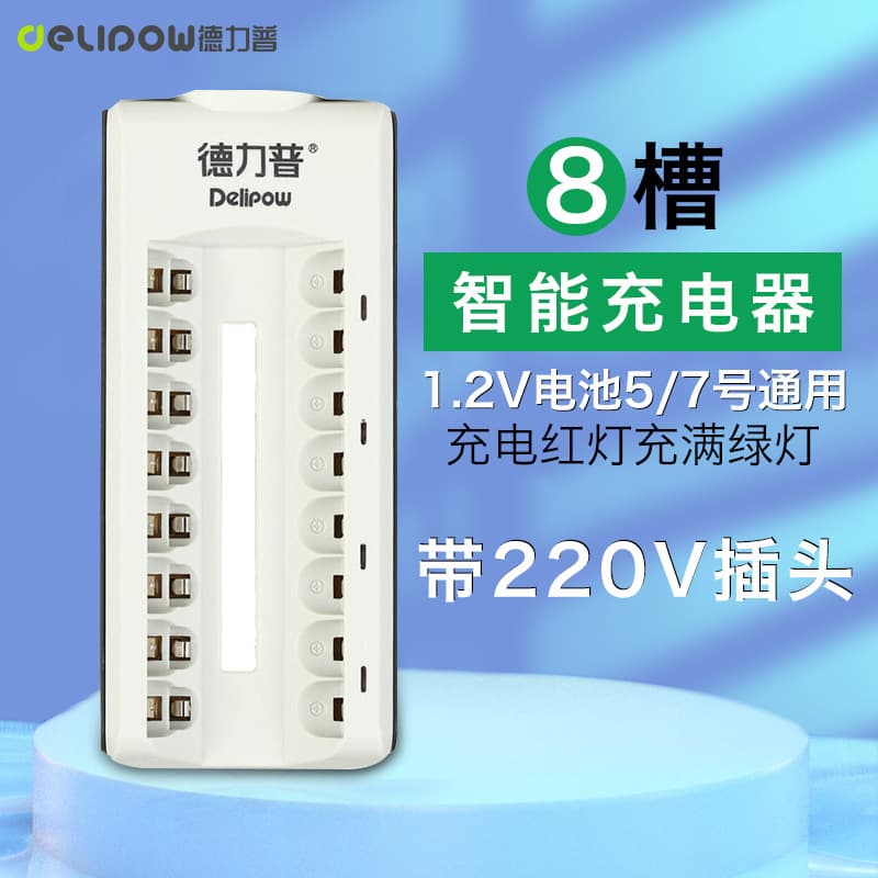 Delipu 1.2V NiMH Battery Charger Multi-Slot 220V Plug Smart Charging with Indicator Light, Compatible with AA and AAA NiCd and NiMH Batteries