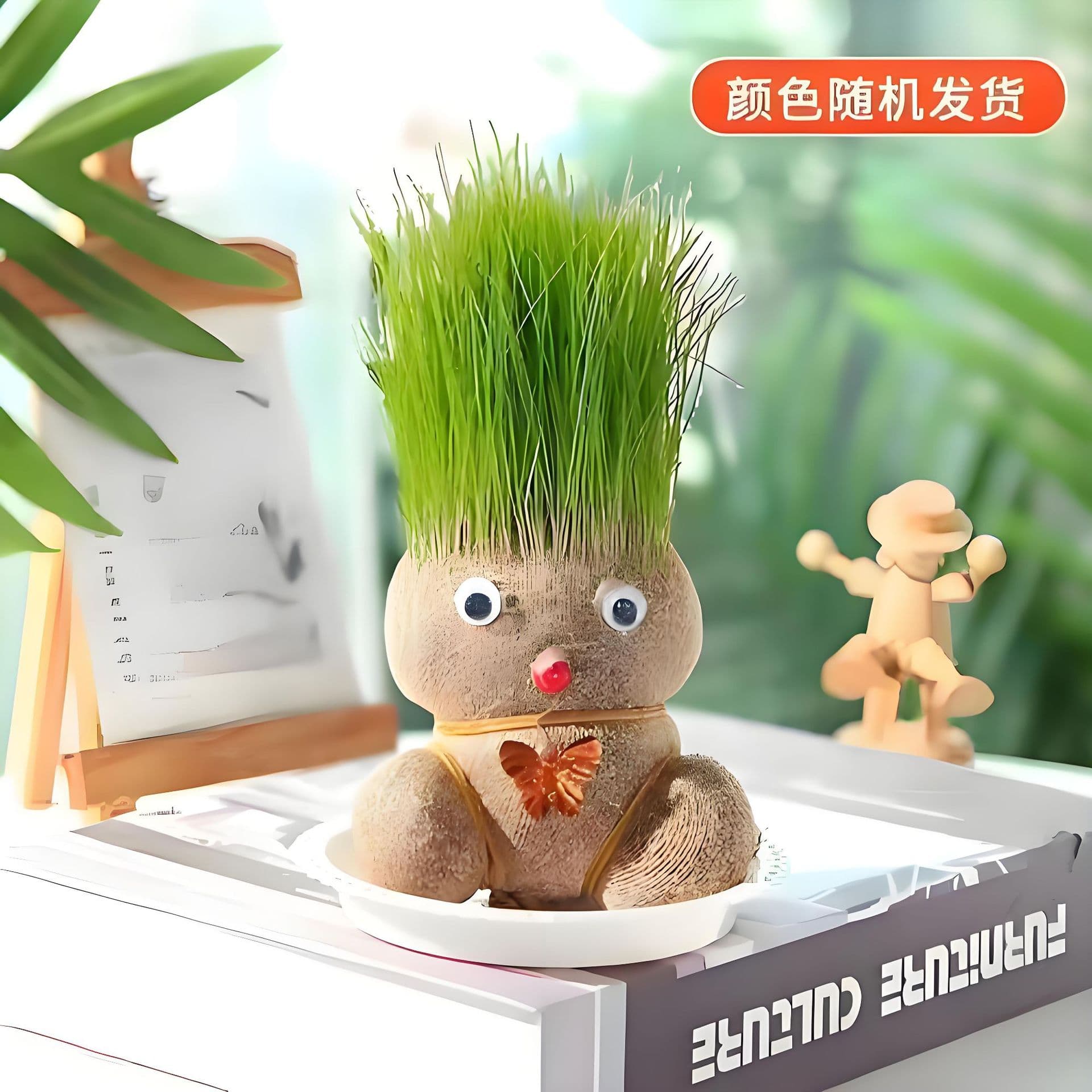 Grass Head Doll Small Potted Plant Growing Grass Doll Flowering Doll Green Plant Hydroponic Kindergarten Children Fun Grass Doll