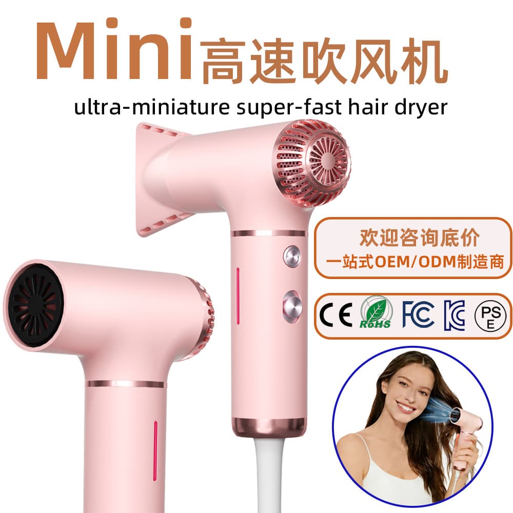 Korean Hot Mini Hair Dryer Portable Travel Blow Dryer Negative Ion High Wind Speed Dual Voltage