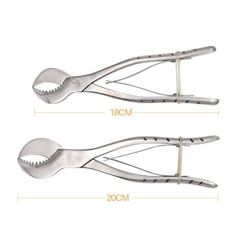 Dental Scissors Dentist Laboratory Tool Large Stainless Steel Tweezers Instrument Plaster Cast Scissors Material Oral