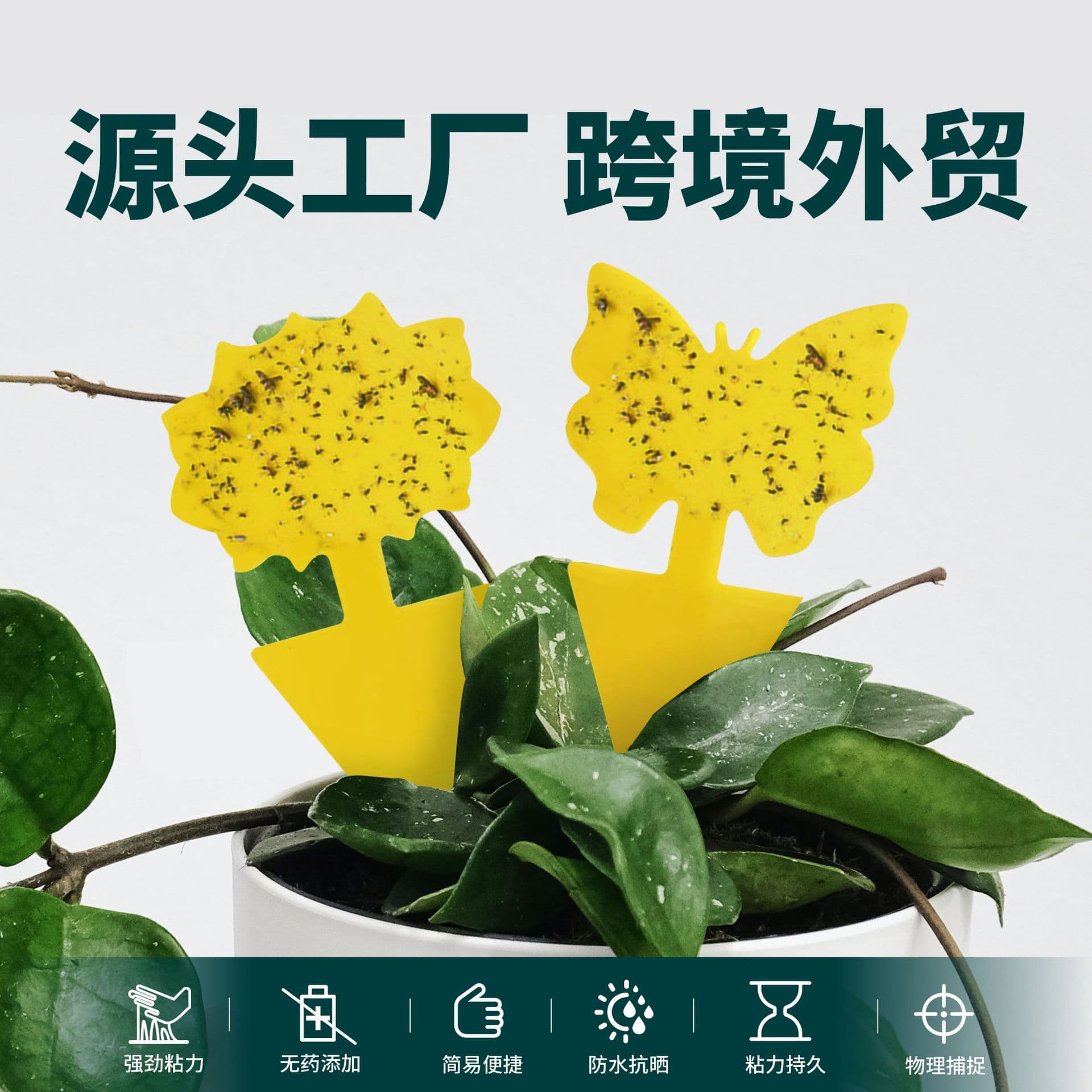 Cross-Border Amazon Fruit Fly Trap Insect Trap Yellow Sticker Double-Sided Flower-Shaped Special-Shaped Sticky Insect Board Sticky Insect Board
