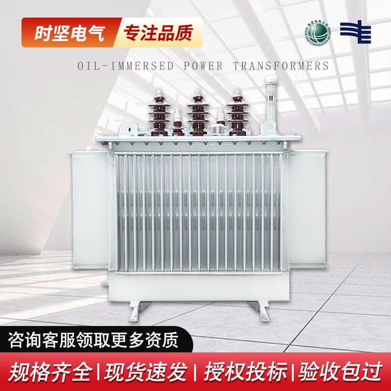 Three-Phase Copper 10kV High Voltage Factory Transformer S13-M-80-200-315kVA Oil-Immersed Power Transformer