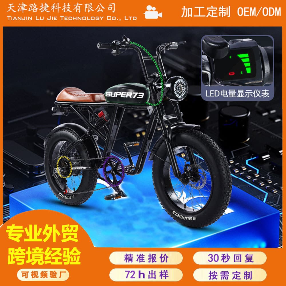 Custom Cross-Border Lithium Battery for Electric Bicycle Off-Road Fat Tire Snow Electric Vehicle Europe and America Overseas Warehouse Drop Shipping