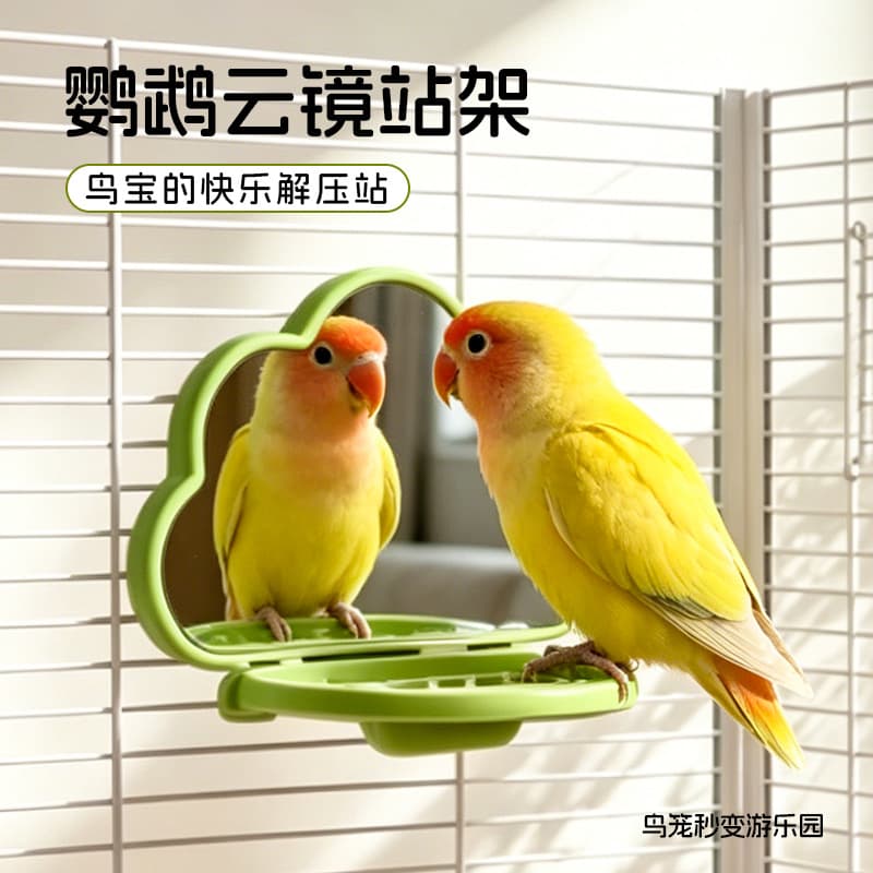 Parrot Mirror Stand Food Box Boredom Relief Toy Black Phoenix Peony Tiger Skin Stand Stick Stand Stick Bird Cage Landscaping Supplies