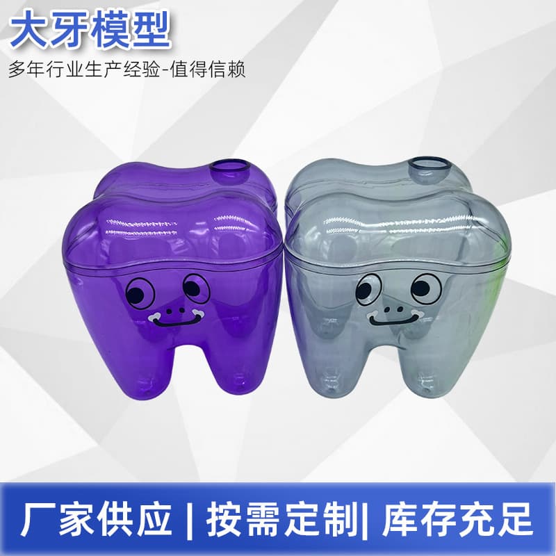 Dental Large Tooth Model Box Storage Box Candy Snack Household Organizer Box Support Cross-Border