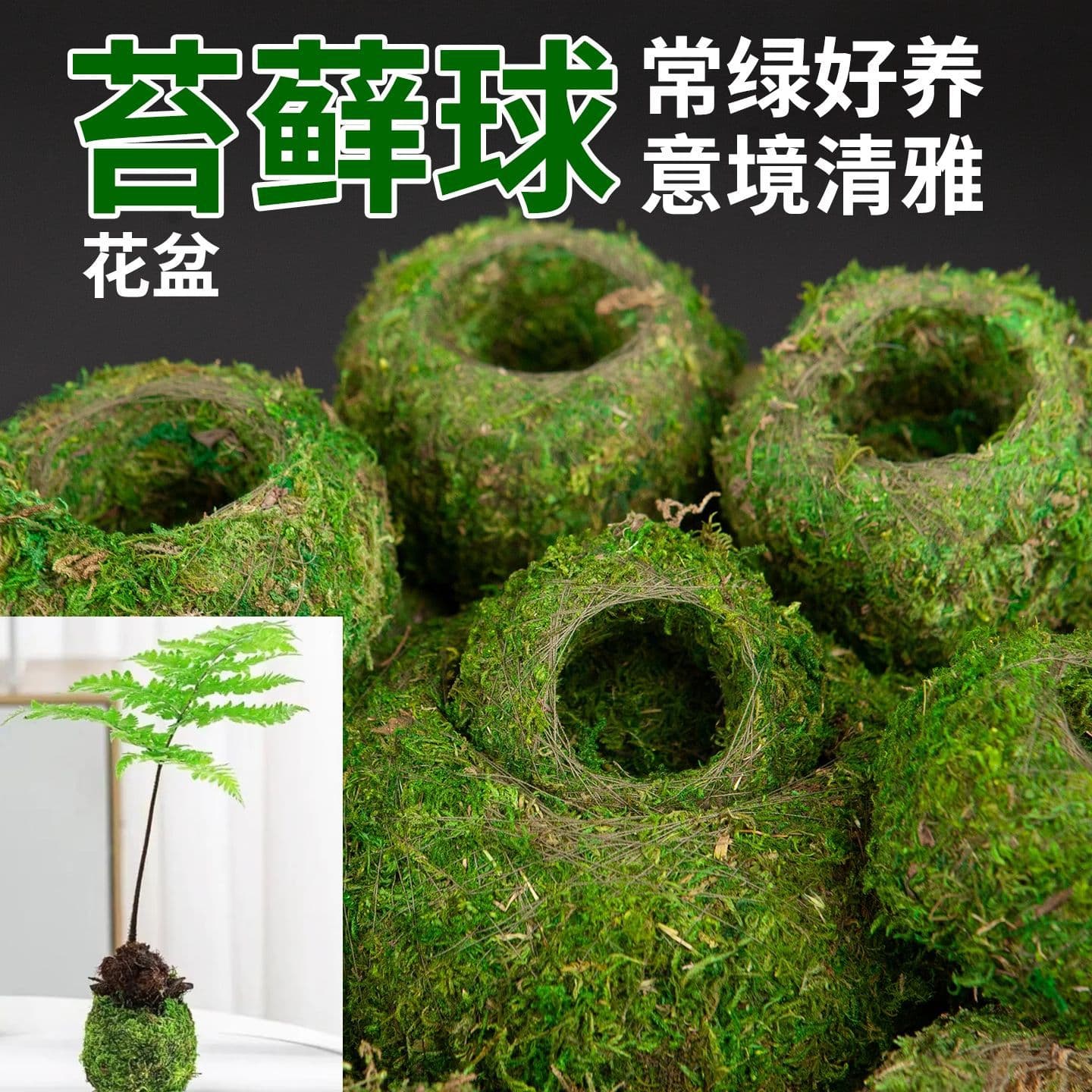 Moss Ball, Moss Flower Pot, Dendrobium Orchid Planting Pot, Miniature Landscape Pot, Creative Flower Pot, Green Moss Ball Plant Pot