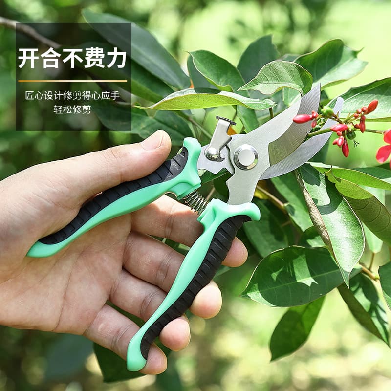 Stainless steel pruning shears, gardening shears, orchard and flower arrangement shears, fruit picking shears, garden tool shears wholesale