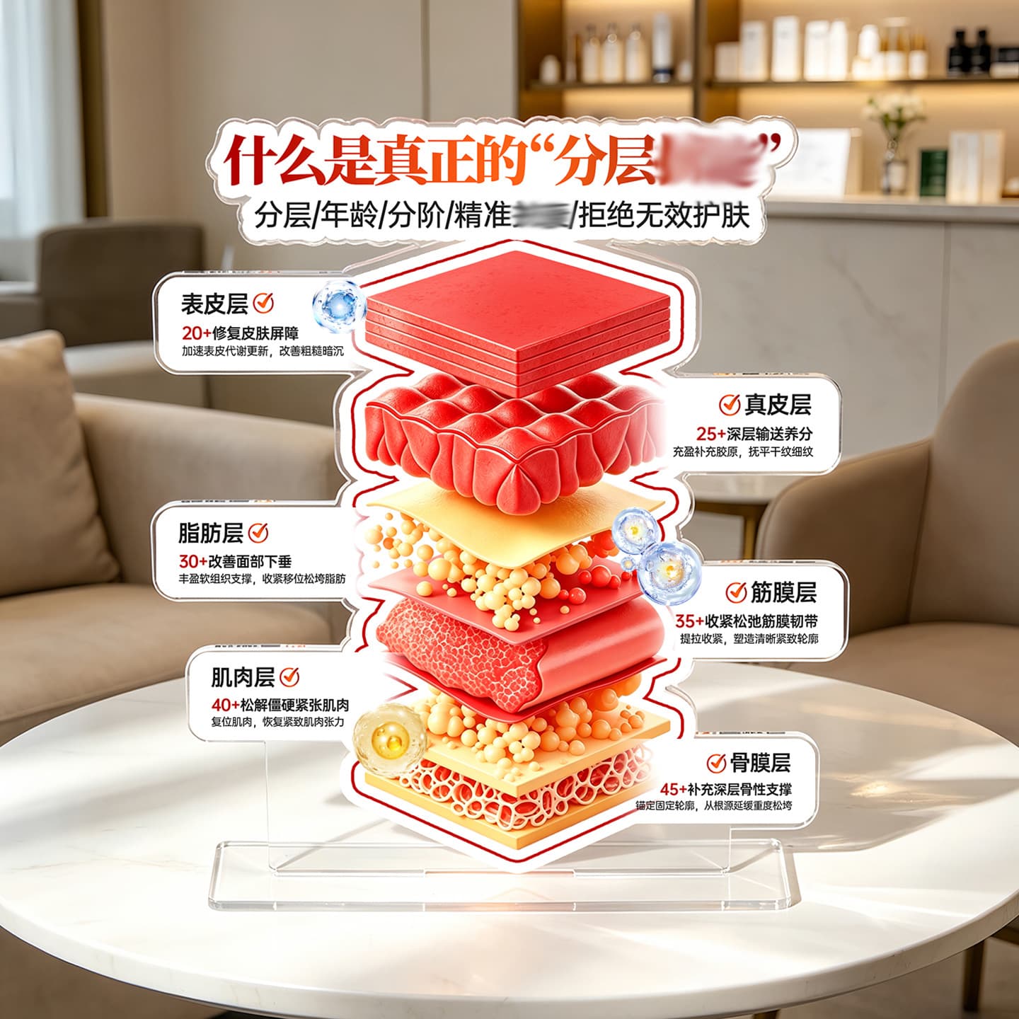 Cross-border new product Chinese and English version beauty salon skin level display artifact skin structure model acrylic display board