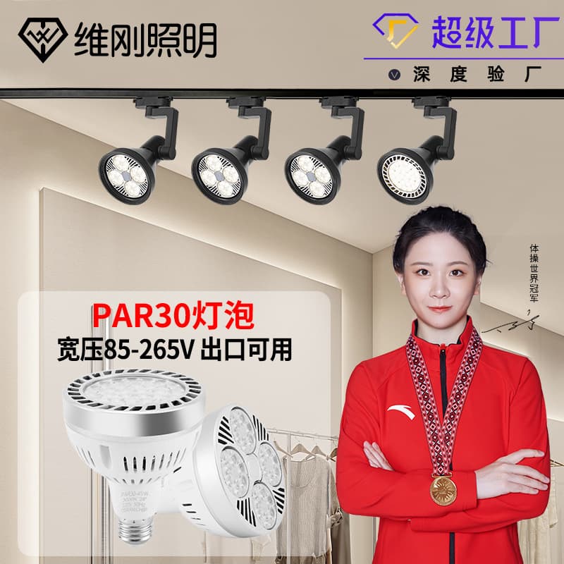 Wide Voltage PAR30 Track Bulb LED Track Light 110V PAR Bulb COB Spotlight LED Light Source E27 COB PAR Light