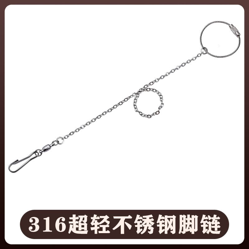 Stainless Steel Parrot Anti-Flight Harness Leg Chain Stainless Steel Threaded Bracelet Alloy Anklet Pet Supplies