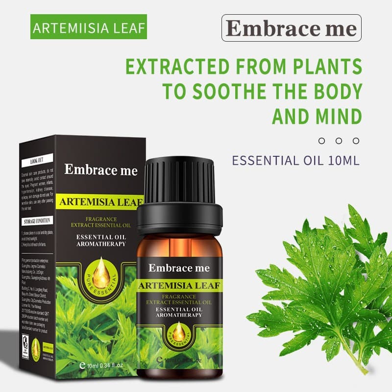 Cross-border exclusive supply of essential oil water-soluble mugwort massage essential oil aromatherapy and customizable compound moisturizing