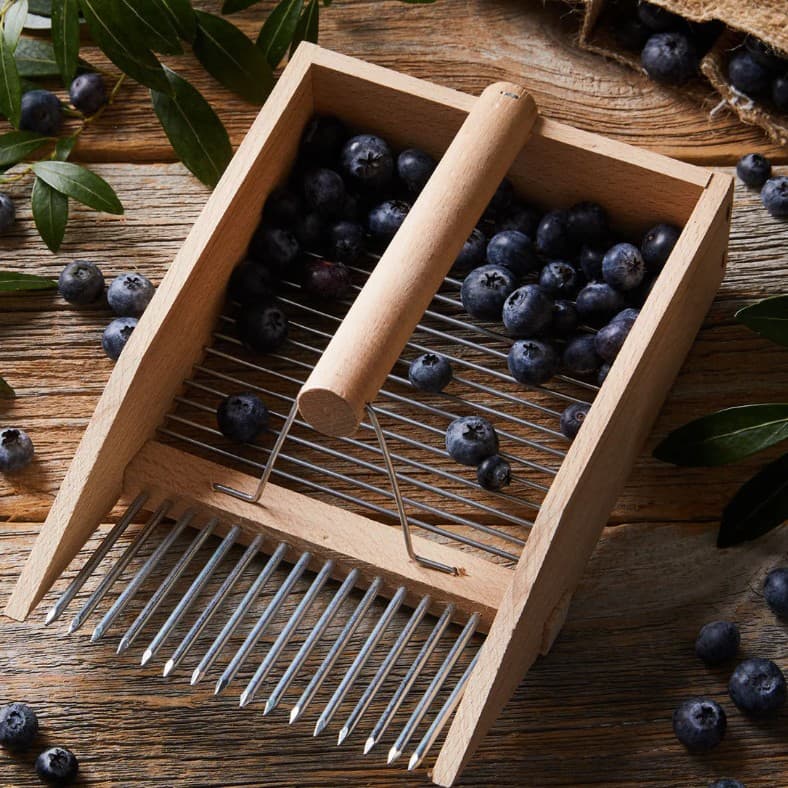 Blueberry Picker with Handle, Berry Scoop Tool for Garden Harvesting