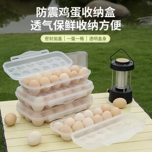 Transparent Egg Storage Box Fresh-Keeping Box Outdoor Portable Shockproof Egg Case Household Plastic PP Fridge Egg Tray