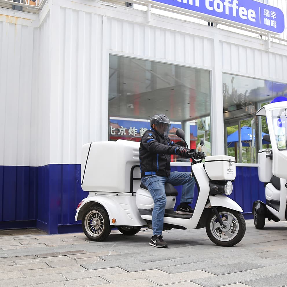 Direct from the Manufacturer: Leisure Lithium Battery Adult Electric Tricycle, Motorcycle, Export Mobility Scooter, Self-Balancing Scooter