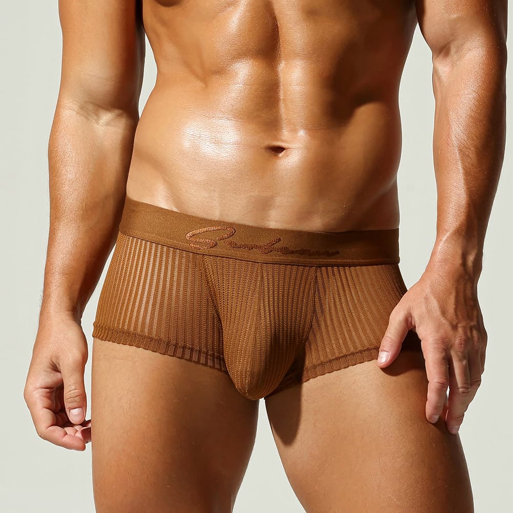 SEOBEAN Xibin Factory Direct Men's Boxer Briefs Sexy Mesh Cross-border Men's Boxer Shorts Wholesale