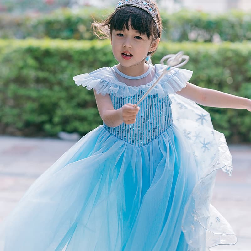 New Sweet Pleated Frozen Elsa Princess Dress for Toddler Girls, Short Sleeve Elsa Princess Dress for Girls