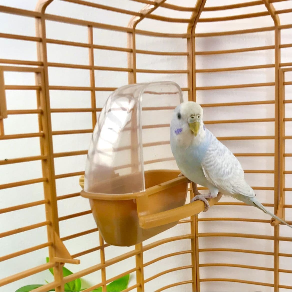 Xilexiong Parrot Bird Feeder Plastic Bird Feeder Outdoor Bird Food Container Anti-Spill Anti-Splash Bird Food Cup