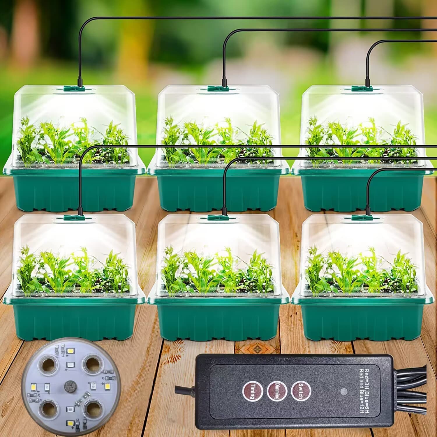 Upgraded professional 8-LED round full-spectrum seedling light + 12-cell 6-piece set of high-lid seedling pots
