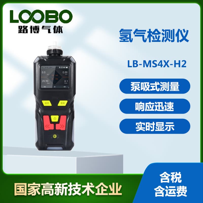Hydrogen Detector with Accurate Detection and Real-Time Display, Portable Pump Suction Hydrogen Sensor