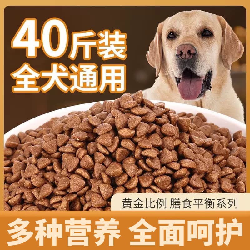 Dog food 40 pounds, universal Teddy Golden Retriever, Samoyed Husky, 10 pounds, large dogs, small adult dogs, puppies 20 pounds