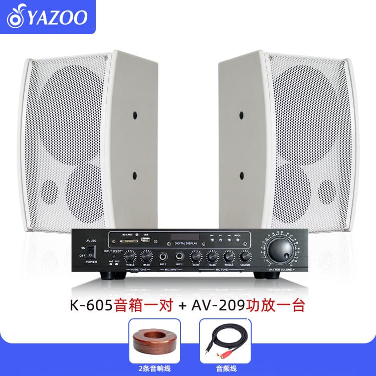 Special Price 6.5" 8" Home Karaoke Speaker for Meeting Room KTV Family Karaoke Card Pack Speaker