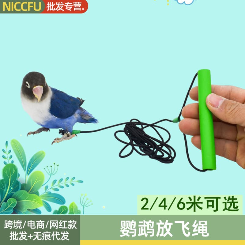NC Parrot Flight Leash, Bird Tether, Bird Leg Ring, Elastic Cockatiel Harness, Parrot Flight Harness