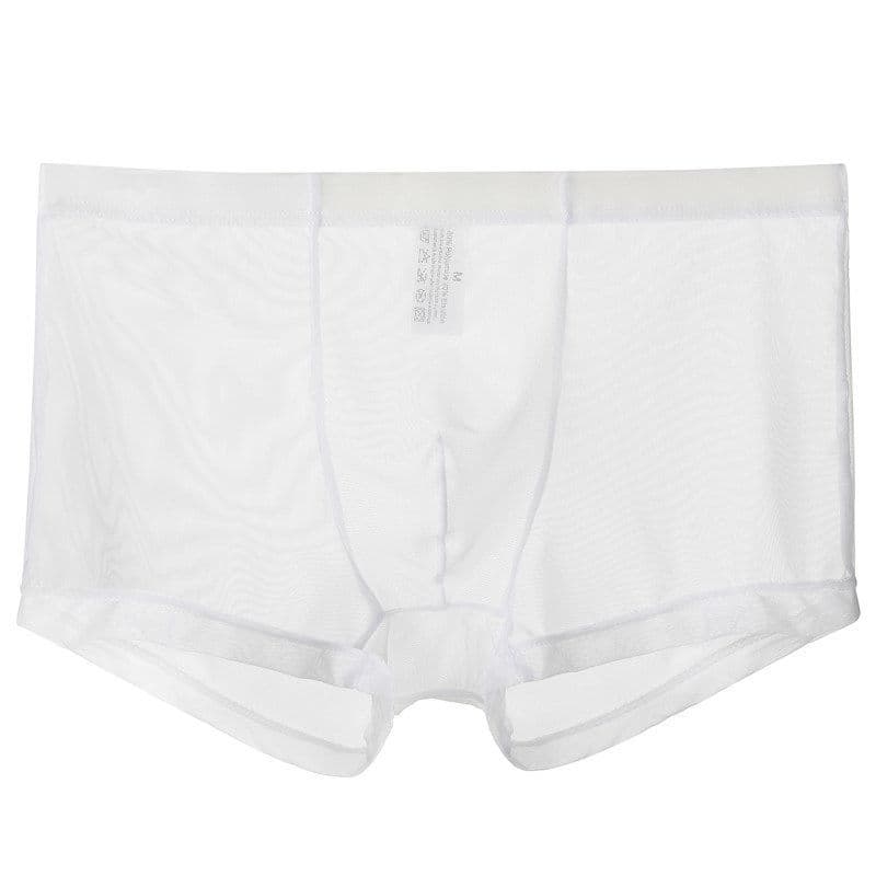 Sexy Men's Transparent Ice Silk Mesh Boxer Shorts Thin Ice Silk Four Corner Printed Boxer Shorts