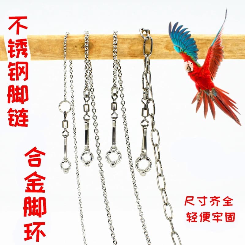 Ultra-light Stainless Steel Parrot Foot Ring Chain Live Bird Stand Opening Ring Foot Cover Quick Release Bird Supplies