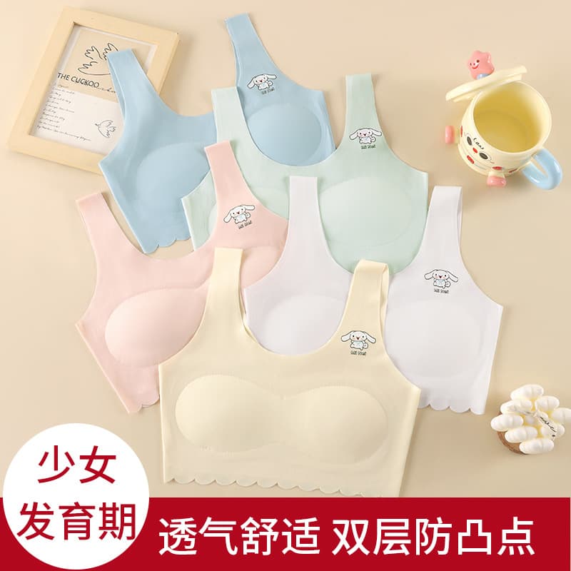 Factory Sourcing Summer Seamless Teen Bra for Little Girls, Junior High School Students, Primary and Secondary School Students, Development Stage Anti-Nipple Show Camisole