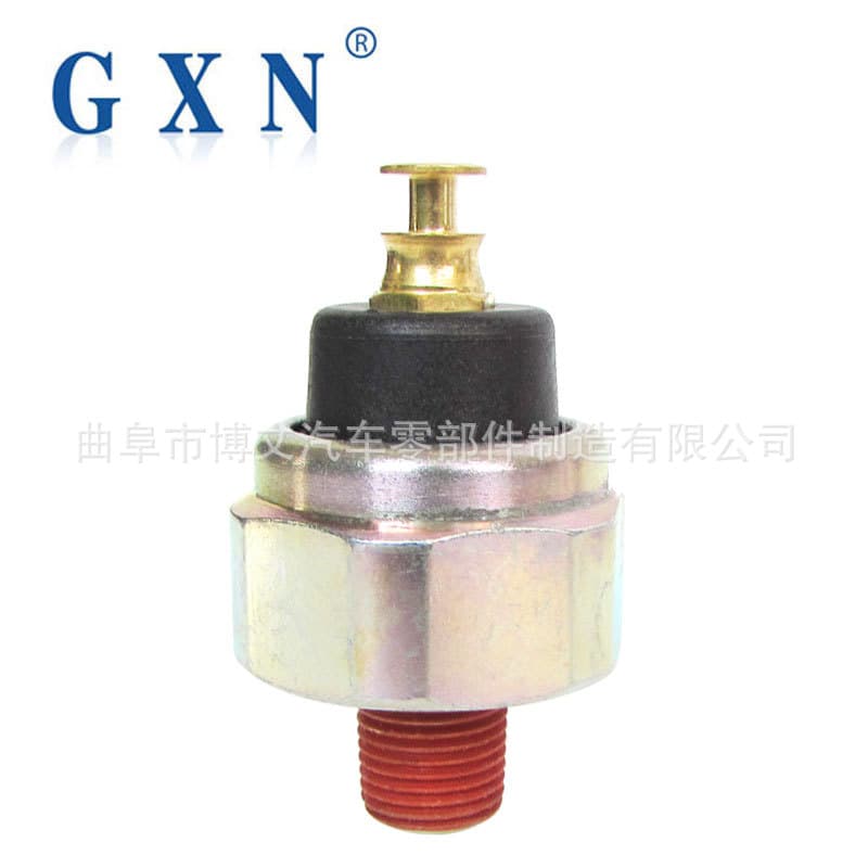 Suitable for Haima Prince 484 oil pressure alarm LJ469QE23810010