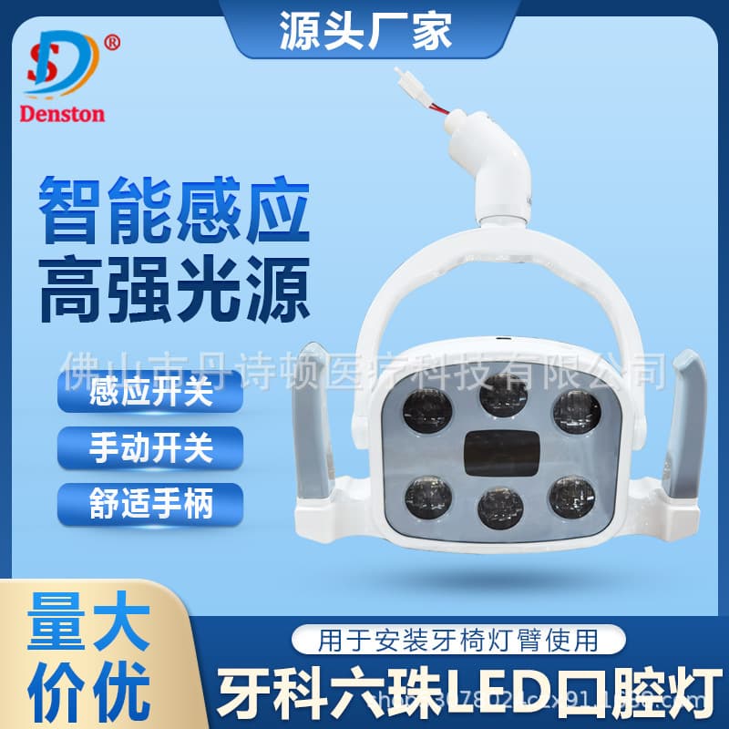 LED Dental Light Oral Cold Light Dental Oral Examination Light Dental Chair Accessories Oral Light