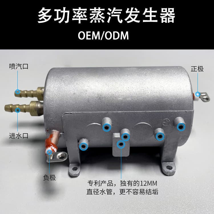 Factory Direct Mini Steam Generator Electric Steam Heater High Temperature High Pressure Instant Heating Home Use