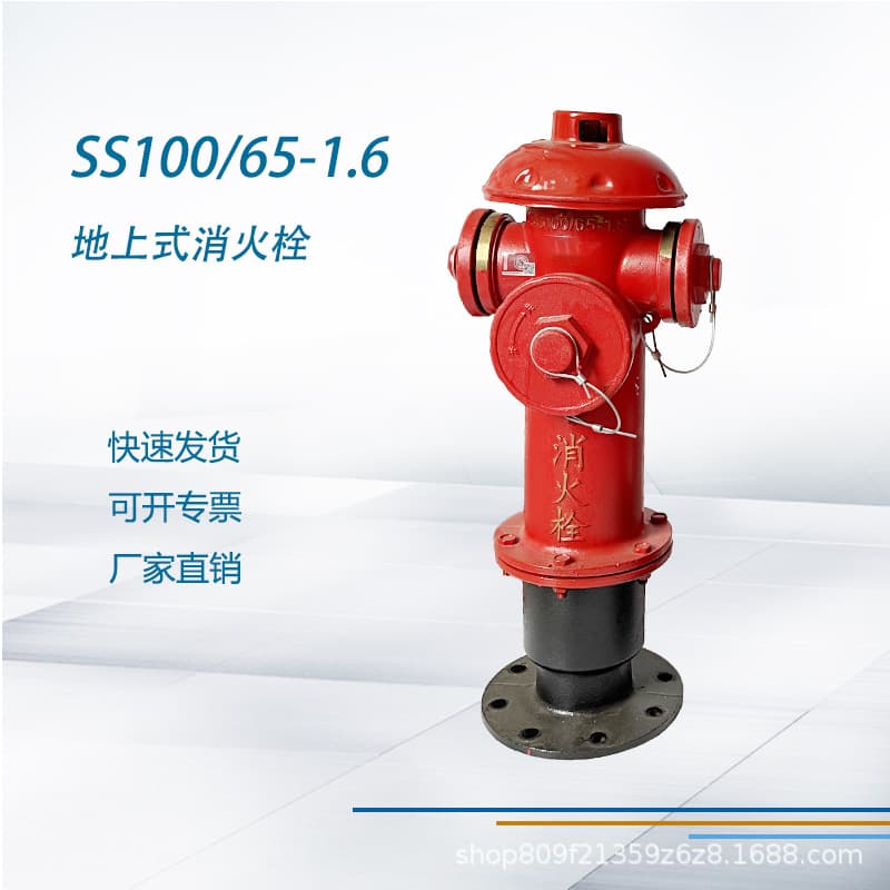 SS100/65-1.6 Fire Hydrant Above-ground Fire Hydrant Fire Truck Outdoor