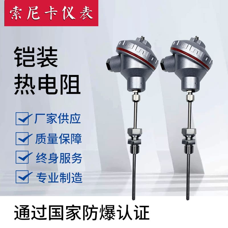 High Temperature Armored RTD Industrial PT100 RTD WZP-230 Assembly Type Explosion-Proof RTD